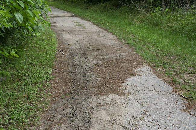 Photograph of mud and debris that Schwalbe Big Apple tires do not cope particularly well with.